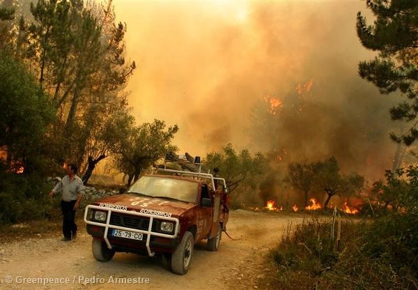 Es necesario que se dignifiquen las condiciones del cuerpo profesional de bomberos forestales para poder seguir luchando contra el fuego.