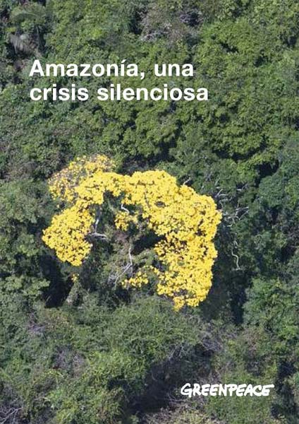 Amazonia, una crisis silenciosa