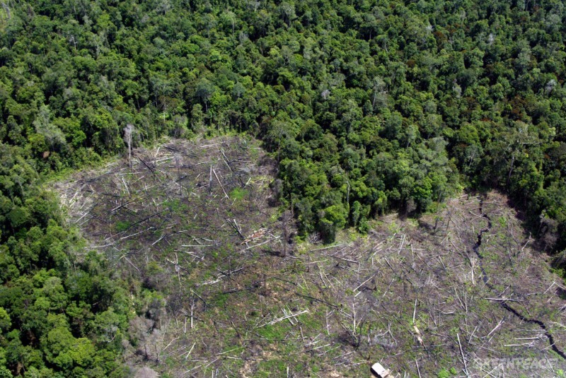 Área de selva deforestada en el Amazonas