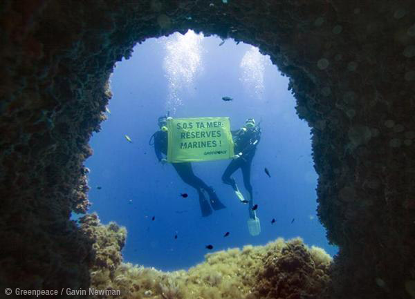 Salvemos nuestros océanos