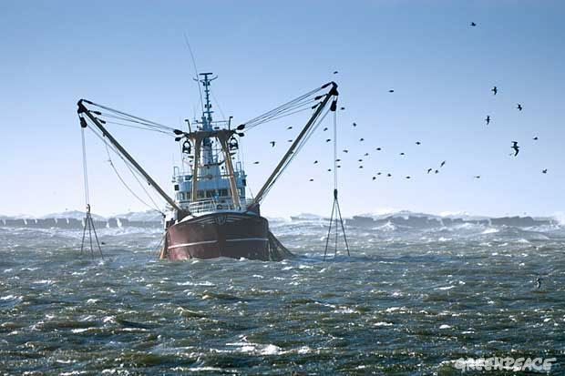 La Política Pesquera Común debe defender la pesca sostenible