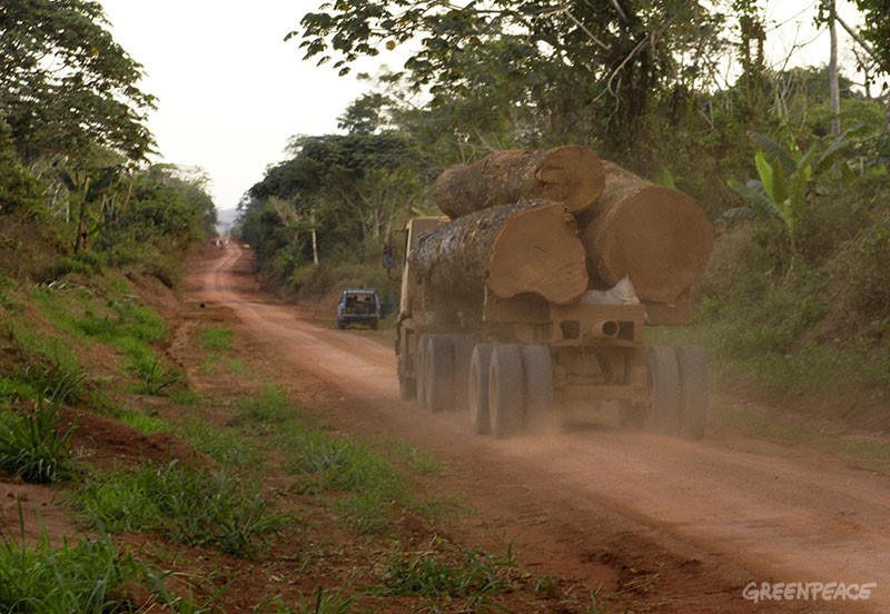 Truck transporting logs on the Siforco road between Engengele and Kpenge in the concession K-8 near Bumba.