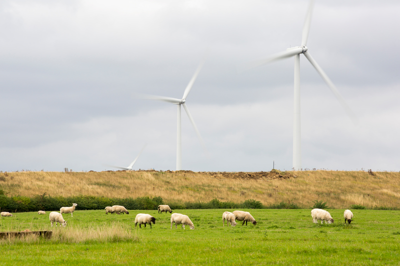 Yelvertoft wind farm next to Cranford landfill site near Cranford, Northamptonshire, UK.