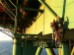 Activistas de Greenpeace impiden zarpar a plataforma petrolífera