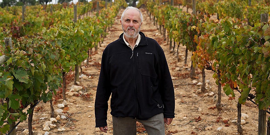Carlos Gosálbez, viticultor ecológico