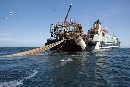 Greenpeace lanza una plataforma de denuncias online para el sector de la pesca industrial