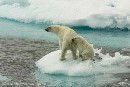 Greenpeace valora positivamente el trabajo de OSPAR en relación a la protección del Ártico
