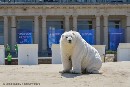 Pancartas y osos polares en la reunión de OSPAR para recordar a los delegados que la protección del Ártico no puede esperar