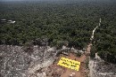 Greenpeace denuncia la vinculación entre la escasez de agua en Brasil y la deforestación