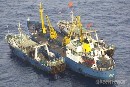 Greenpeace celebra la operación llevada a cabo por la Guardia Civil contra la empresa pesquera Vidal Armadores acusada de pesca ilegal en la Antártida