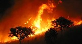 Greenpeace demanda un mayor esfuerzo en la persecución de los incendiarios que queman el bosque