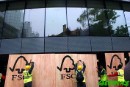 Greenpeace demuestra que la UE utiliza madera de talas ilegales