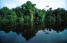 La Amazonia brasileña ha perdido una superficie más grande que Francia en los últimos 40 años