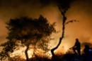 Greenpeace pide que no se recorte en prevención de incendios para evitar situaciones como la que vive Galicia