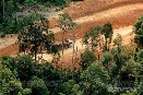 Greenpeace denuncia que el Palacio de Justicia de Tenerife consume papel procedente de la deforestación