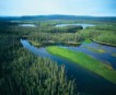 Ecologistas e industria forestal firman en Canadá un acuerdo histórico para proteger los bosques 