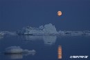 Greenpeace alcanza el casquete polar el último día de expedición en el Ártico para reclamar su protección
