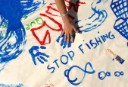 Greenpeace exige el cierre del caladero de anchoa del cantábrico hasta su recuperación