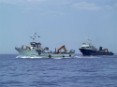 Greenpeace considera que el cierre de la pesquería de atún rojo llega con cuatro meses de retraso