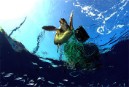 Greenpeace pide la protección del 40% de los océanos con reservas marinas para frenar su degradación