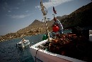 Greenpeace demuestra cómo la política pesquera que defiende España ha destruido más de 50.000 empleos en los últimos 20 años