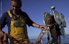 Greenpeace considera injusto que la flota sostenible pague las consecuencias de la sobrepesca 