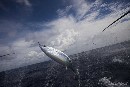 Greenpeace lamenta que el Consejo de Ministros de Pesca no haya sido valiente para solucionar el problema de la sobrepesca
