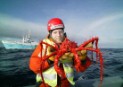 Greenpeace trata de detener a un barco arrastrero español en el Atlántico Norte