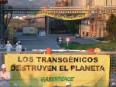 Moyresa rompe negociaciones con Greenpeace