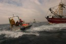 Peligro en alta mar mientras activistas de Greenpeace defienden la Reserva Marina del Dogger Bank