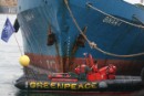 Acción de Greenpeace en un buque pirata en Las Palmas para pedir a las autoridades españolas confisquen  su carga de pescado  