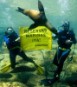 Greenpeace reclama en FITUR la protección efectiva del litoral mediante la creación de Reservas Marinas