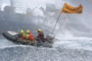 Greenpeace trata de frenar la caza de ballenas de la flota japonesa en el santuario de la Antártida