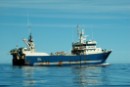 España y la UE permiten que compañías piratas pesquen en Nafo y estén presentes en negociaciones internacionales