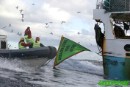 Greenpeace logra detener la pesca del arrastrero de profundidad "Anuva"