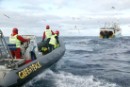 Cousteau con Greenpeace por la moratoria para el arrastre en alta mar