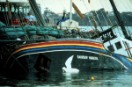 25 Aniversario del hundimiento del Rainbow Warrior de Greenpeace por los servicios secretos franceses