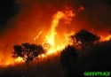 Greenpeace apoya la  manifestación de Orense contra los incendios forestales