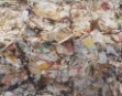 Greenpeace y Photoespaña crean un photoblog para concienzar sobre el problema de los residuos 