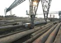 Un informe de Greenpeace demuestra el insostenible papel de China en el consumo de productos forestales
