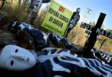 Las administraciones reaccionan a la acción de Greenpeace contra el DDT