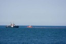 Greenpeace exige buscar responsabilidades por el vertido al mar frente a Valencia