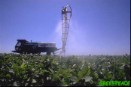 Uso de pesticidas en campo de soja transgénica