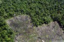 El cambio climático y la deforestación destruyen el Amazonas