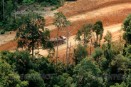 Greenpeace felicita a varias empresas españolas por su rechazo al papel procedente de la deforestacion