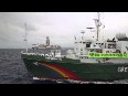 Greenpeace se posiciona en el punto donde Repsol planea iniciar sus prospecciones en Canarias 