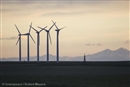 Canarias tendr&#237;a m&#225;s empleo con renovables