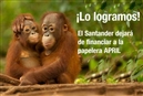 &#161;Lo hicimos! El banco Santander no financiar&#225; la destrucci&#243;n de los bosques de Indonesia
