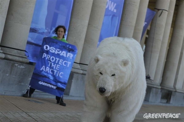 Greenpeace pide a OSPAR que se comprometa con la protección del Ártico. Foto: Greenpeace/Pedro Armestre