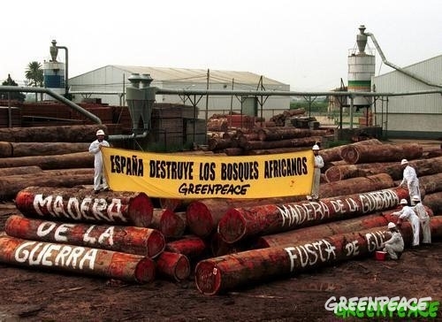 Acción de protesta contra la madera de la guerra, que financia conflictos en terceros países